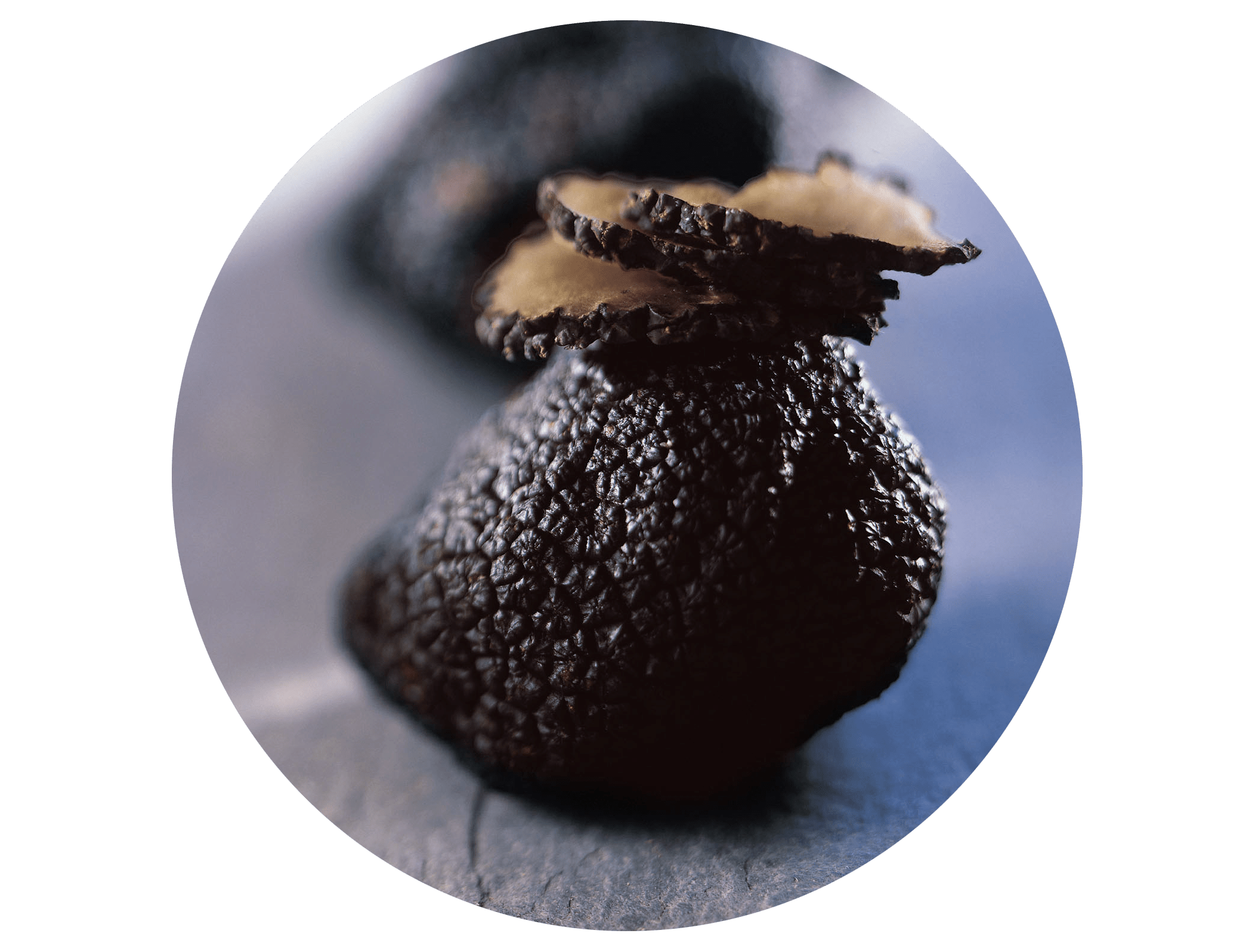 Truuffe®FM